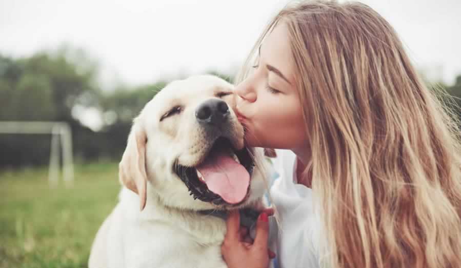dog owner kisses dog